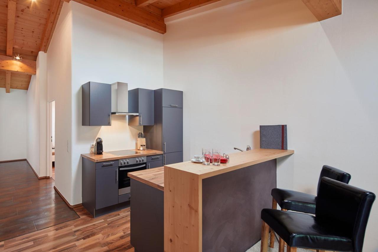 Kitz Mountain Living Daire Aurach bei Kitzbuehel Dış mekan fotoğraf