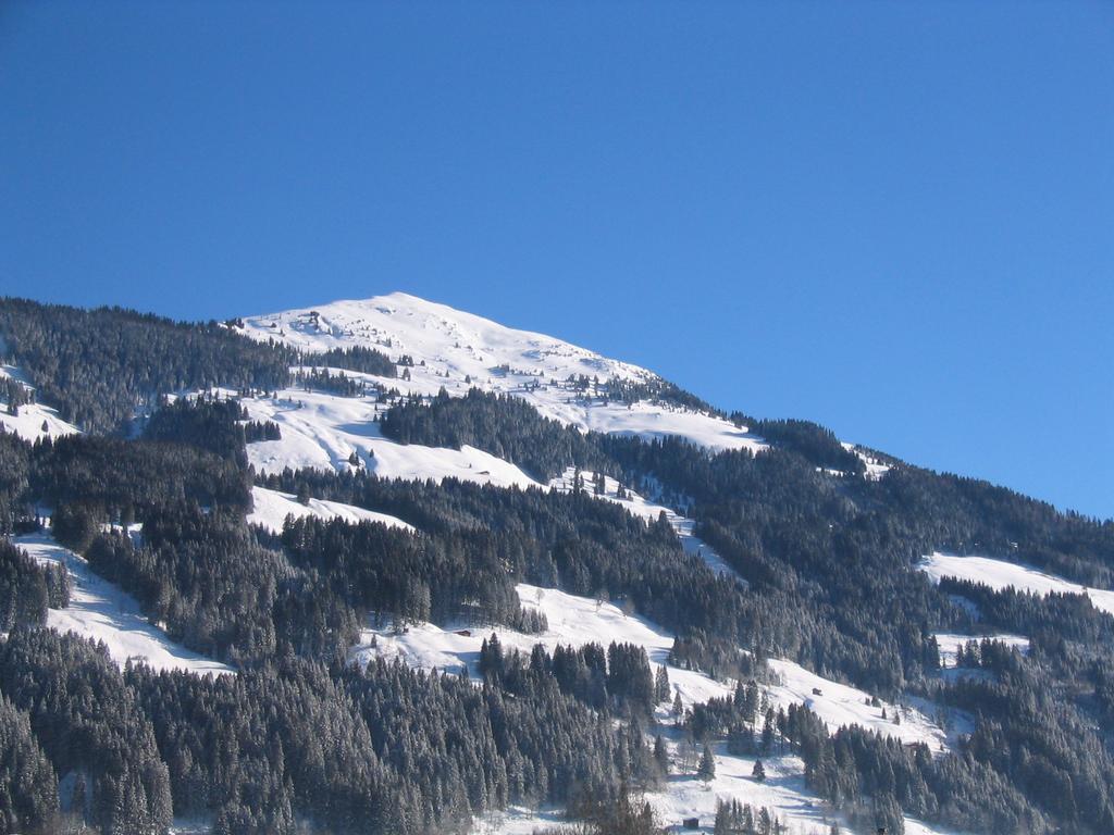 Kitz Mountain Living Daire Aurach bei Kitzbuehel Dış mekan fotoğraf